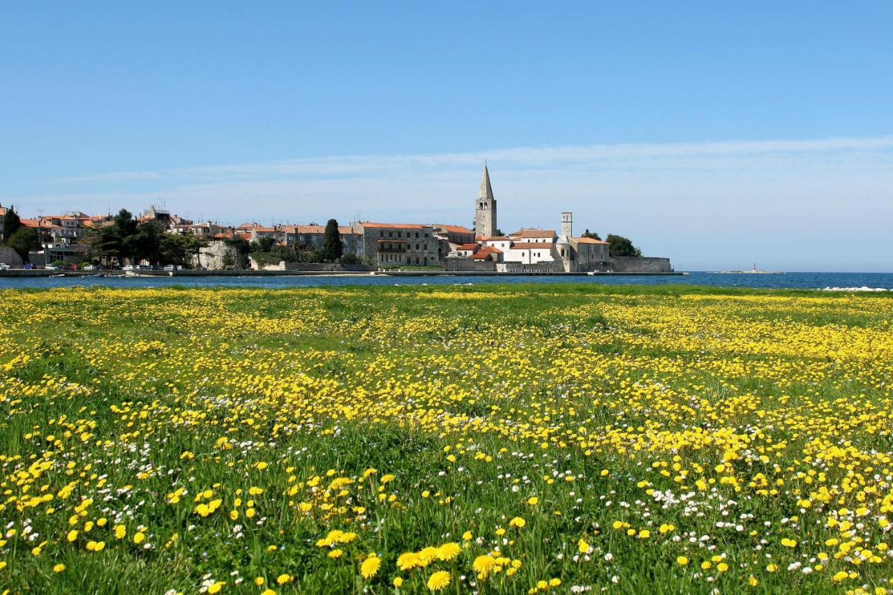 Villa Vita In Porec - Haus Fuer 6-8 Personen กาชเตลีร์ ภายนอก รูปภาพ
